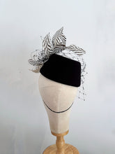 Load image into Gallery viewer, Abstract feather feature pillbox
